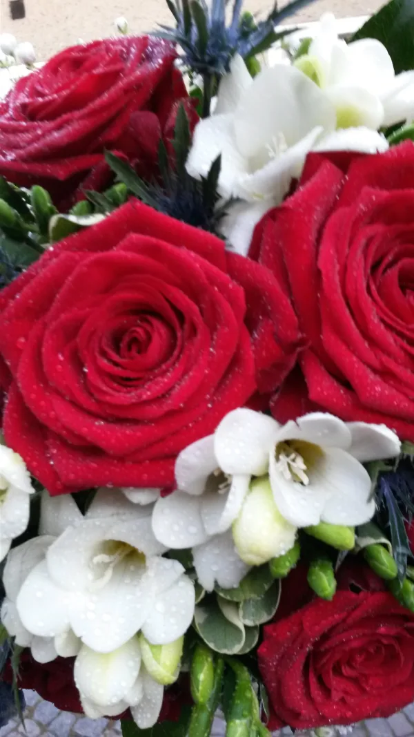 Čerstvé květiny — fotografie 5