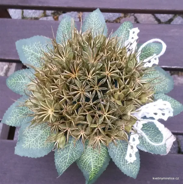 Dekorace — fotografie 46