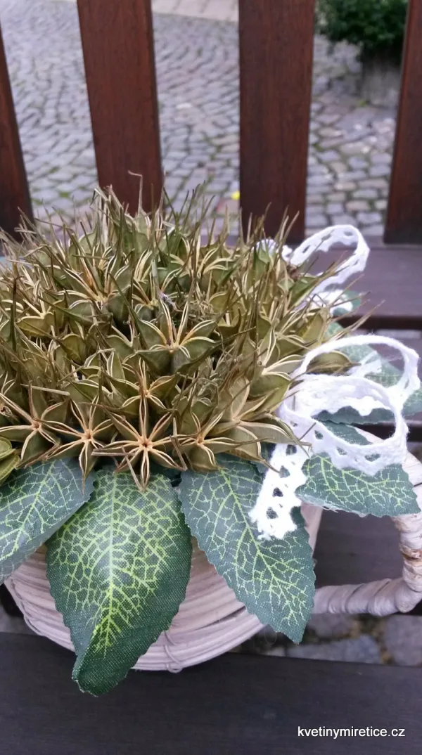 Dekorace — fotografie 47