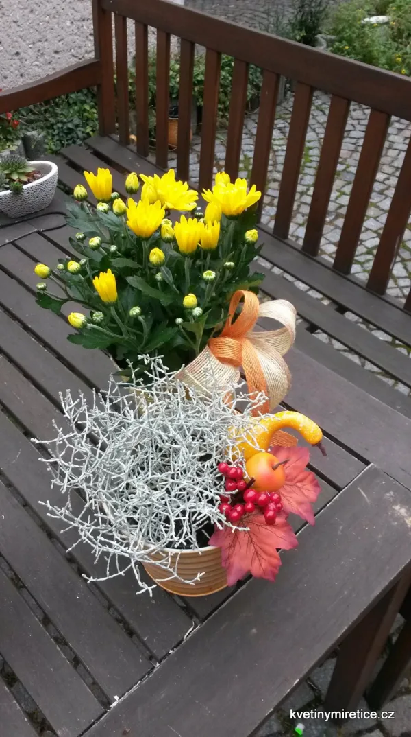 Dekorace — fotografie 48