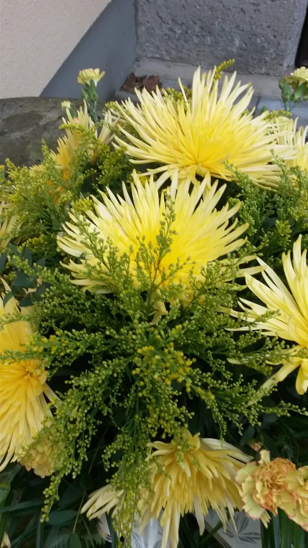 Smuteční — fotografie 4