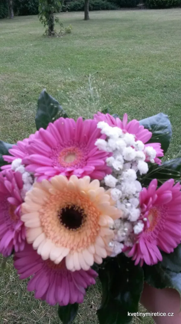 Svatby — fotografie 3