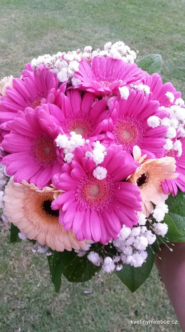 Svatby — fotografie 6