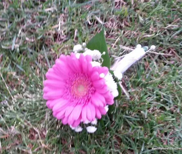 Svatby — fotografie 12