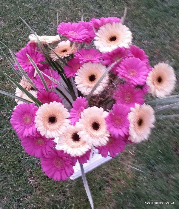 Svatby — fotografie 13