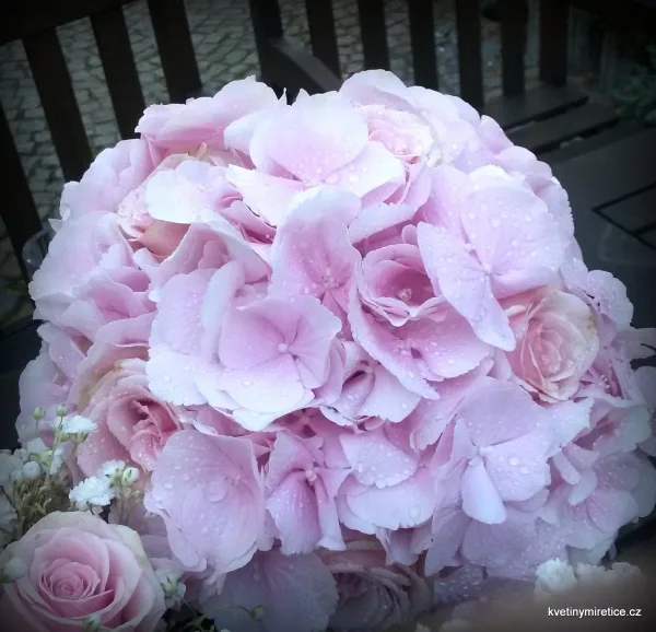 Svatby — fotografie 45