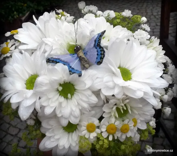 Svatby — fotografie 54