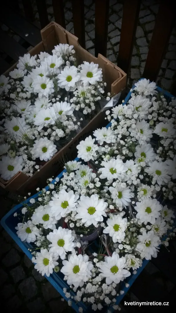 Svatby — fotografie 56